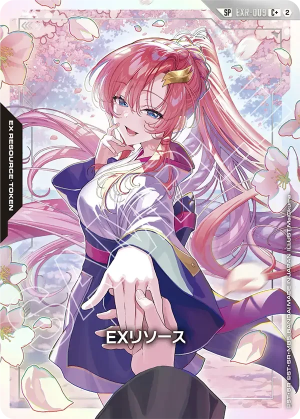 EXR-009 EXリソース C+