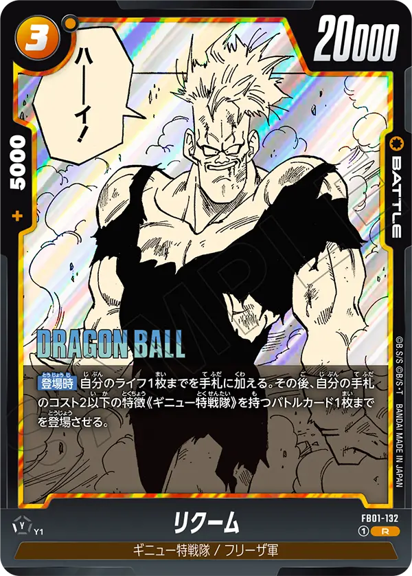 FB01-132 Recoome R