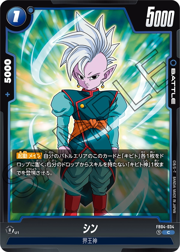 FB04-034 Shin C