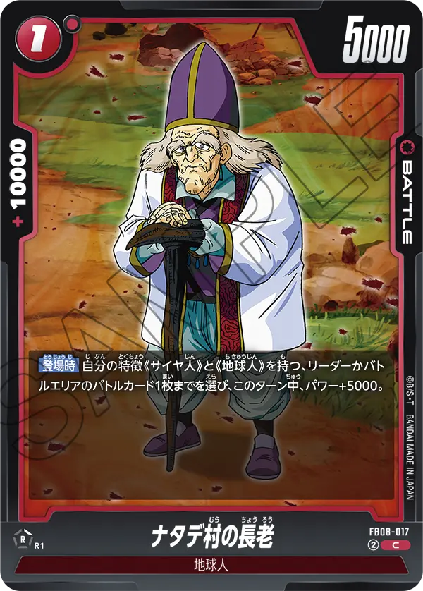 FB08-017 ナタデ村の長老 C