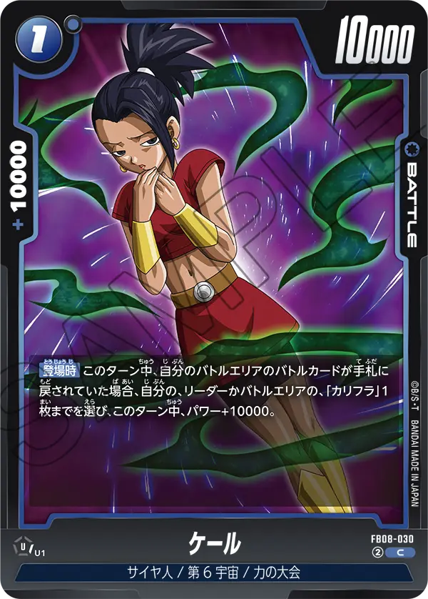 FB08-030 ケール C