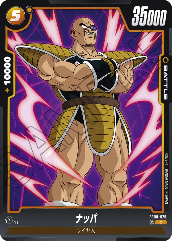 FB08-079 ナッパ C