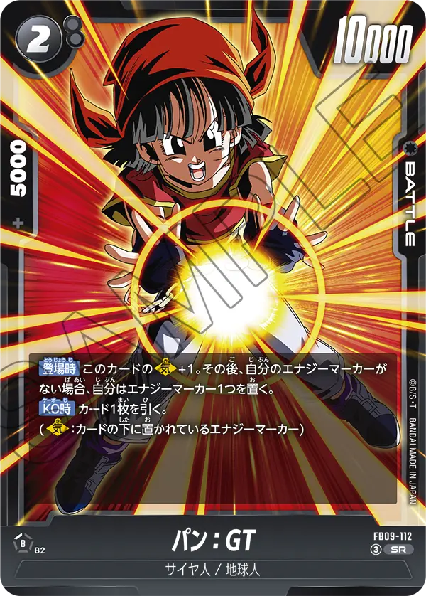 FB09-112 Pan: GT SR
