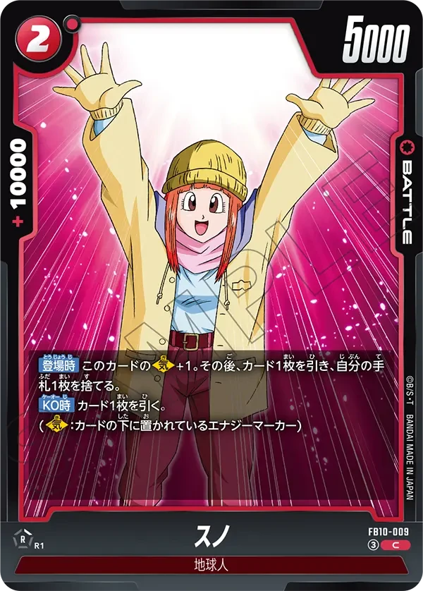 FB10-009 スノ C