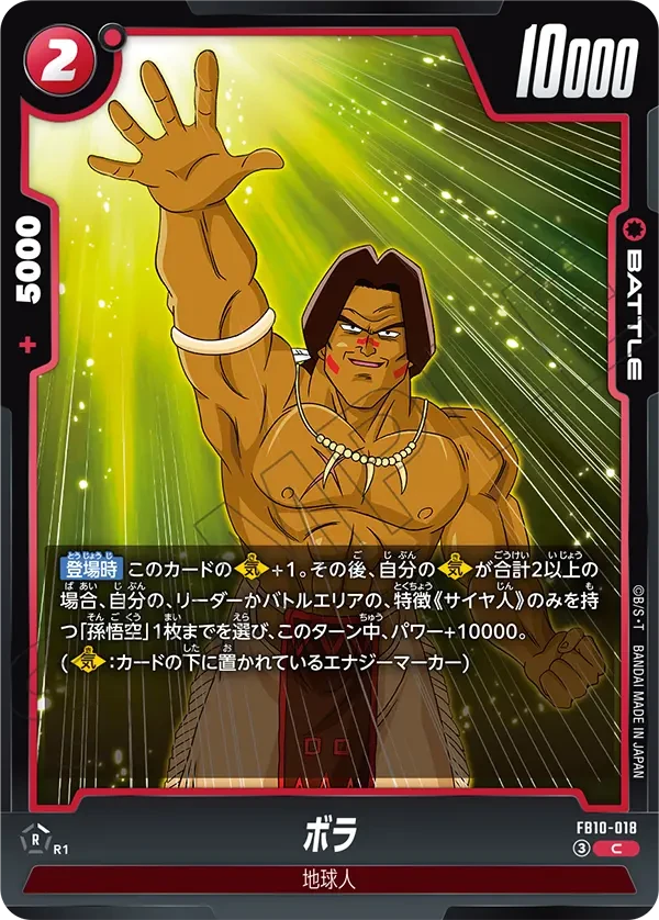 FB10-018 ボラ C