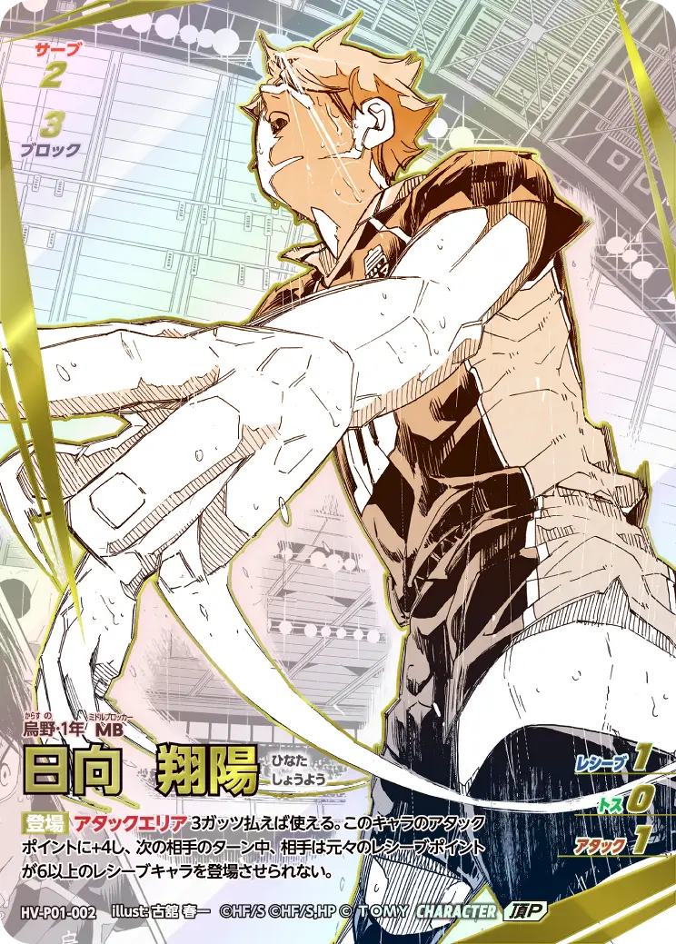 HV-P01-002 日向 翔陽 頂P