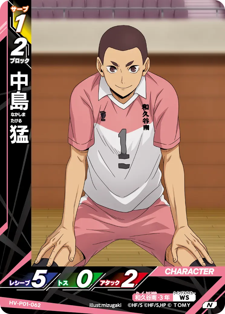 HV-P01-062 中島 猛 N