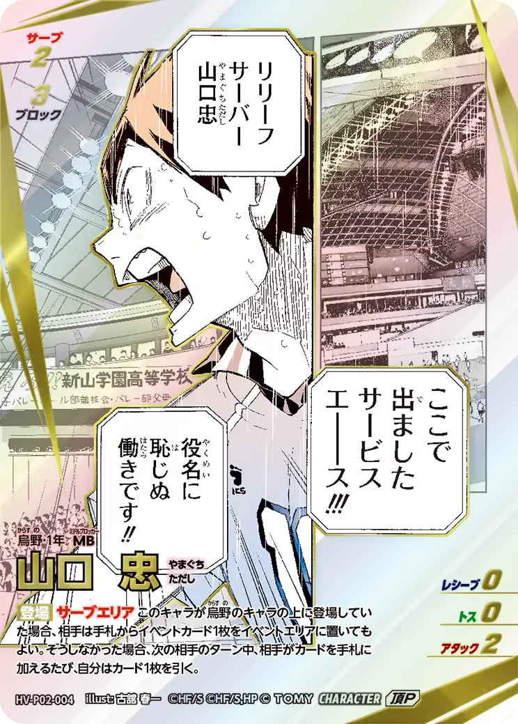 HV-P02-004 山口 忠 頂P