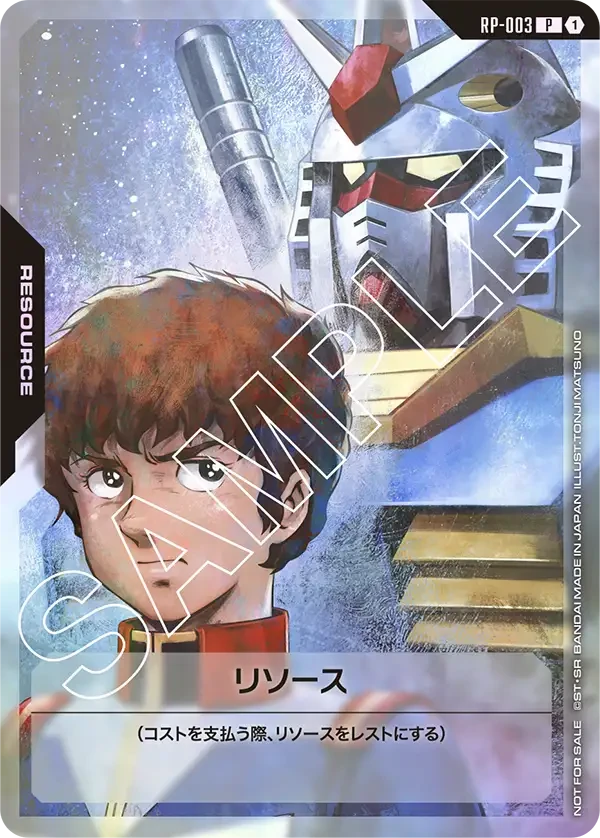RP-003 リソース P