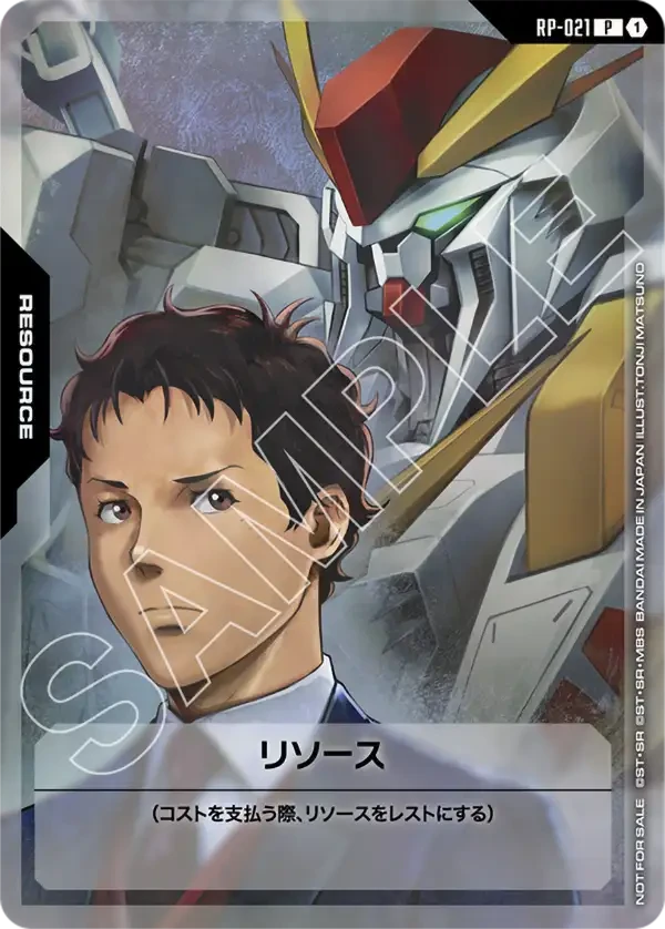 RP-021 リソース P