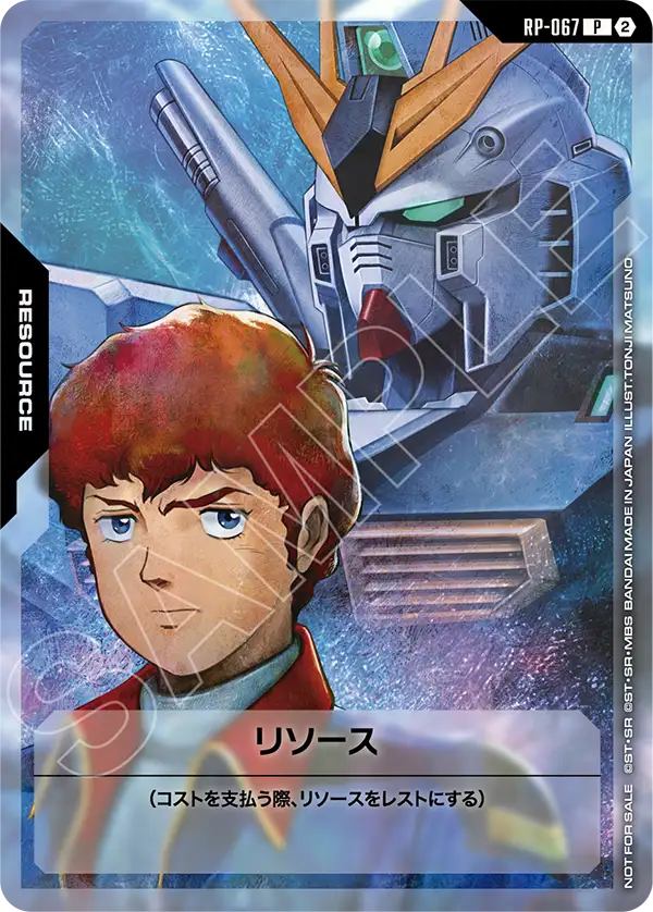 RP-067 リソース P