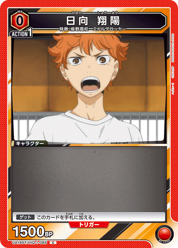 UA19ST/HIQ-1-085 日向 翔陽 C