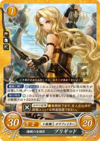 B22-031 海賊の女頭目 ブリギッド N