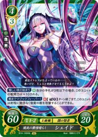 B14-100 闇夜の欝憤晴らし シェイド HN