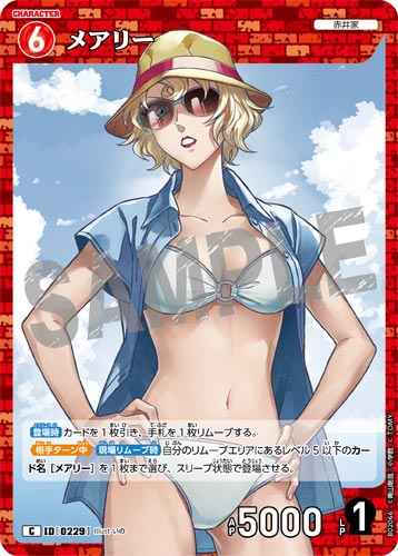 ID[0229] メアリー C CT-P02 B02066