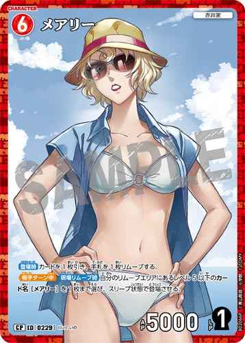 ID[0229] メアリー CP CT-P02 B02066P