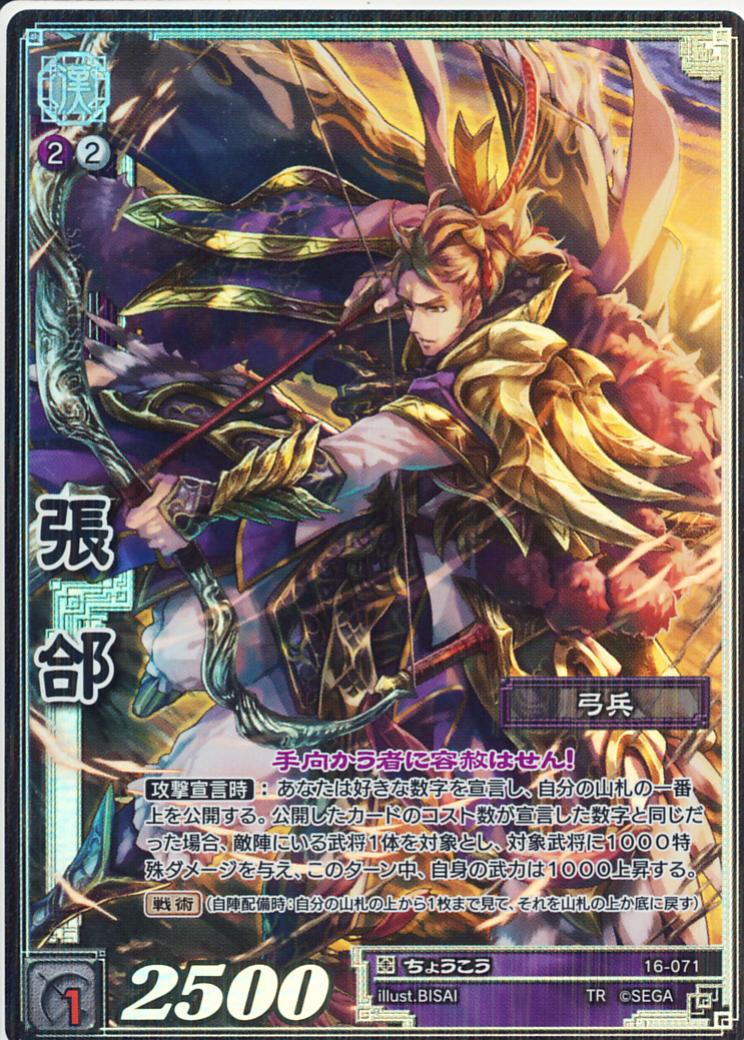 16-071 張コウ TMR