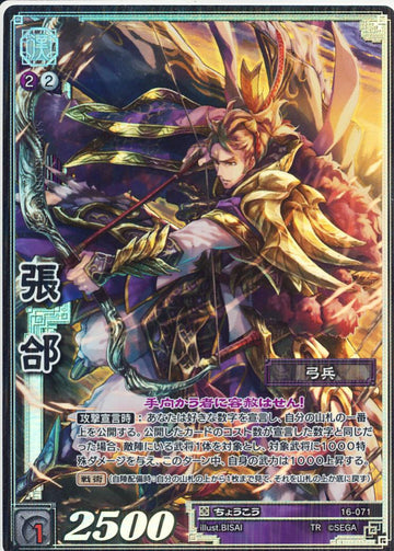 16-071 張コウ TMR