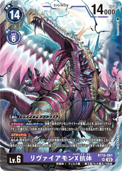 BT15-081 リヴァイアモンX抗体 SR