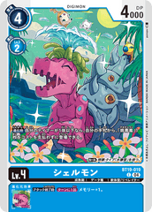BT19-019 シェルモン C