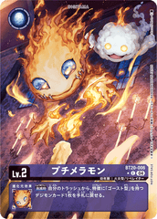 BT20-006 プチメラモン C