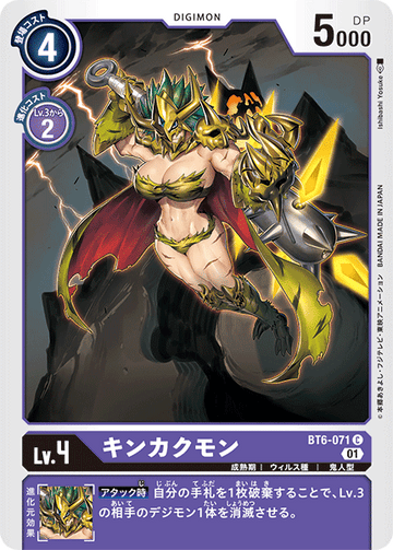 BT6-071 Kinkakumon C