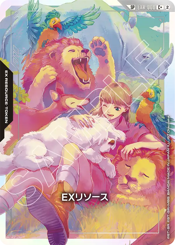 EXR-008 EXリソース C+