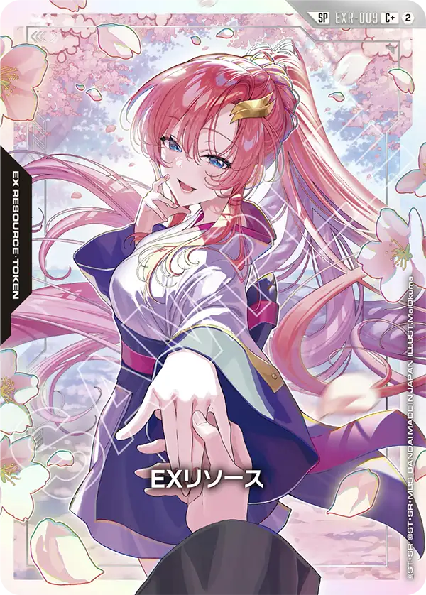 EXR-009 EXリソース C+
