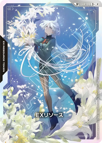 EXR-010 EXリソース C+