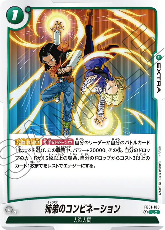 FB01-100 姉弟のコンビネーション