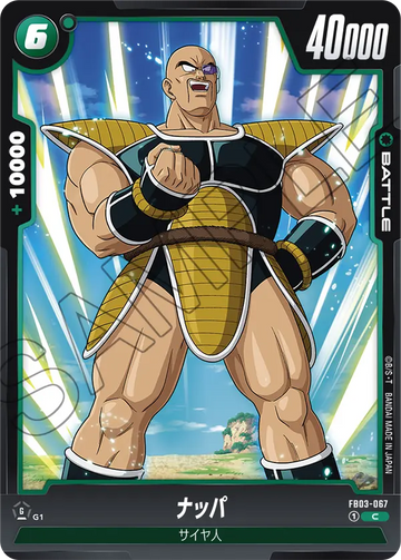 FB03-067 Nappa C