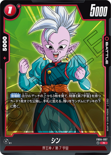 FB04-007 Shin R