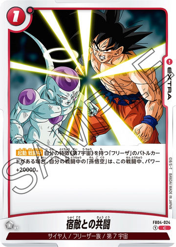 FB04-024 Co-operation with a Rival C