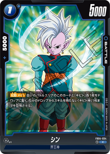 FB04-034 Shin C