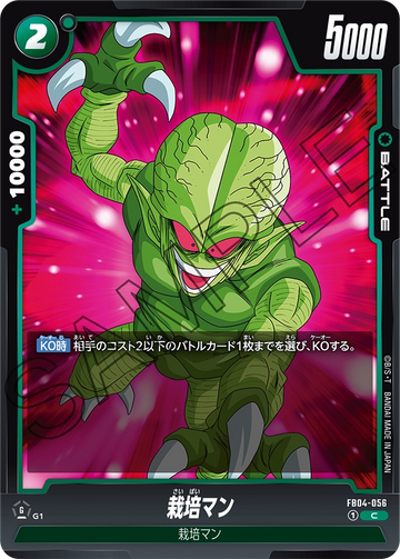 FB04-056 Saibaiman C