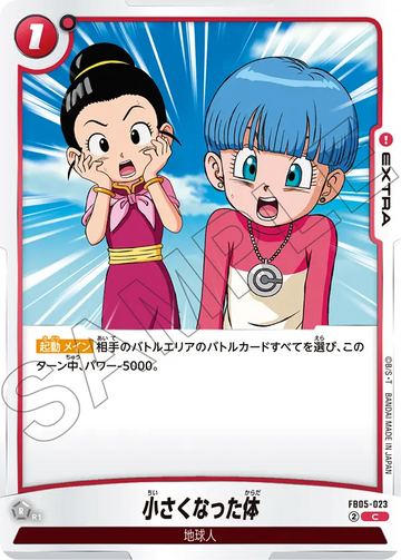 FB05-023 Shrunken Body C