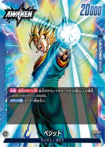 FB05-025 Vegito L
