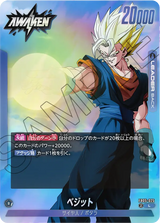 FB05-025 ベジット L★