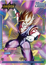 FB05-025 ベジット L★