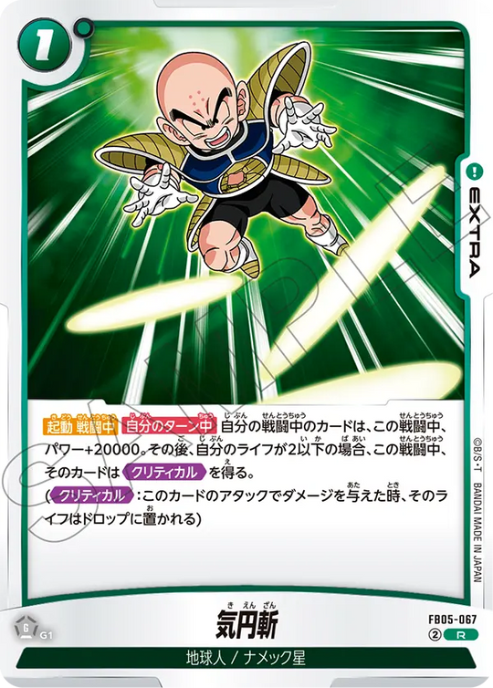 FB05-067 Destructo Disc R