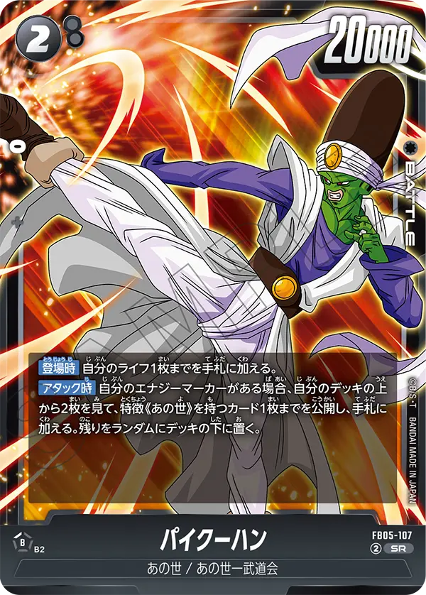 FB05-107 Paikuhan SR