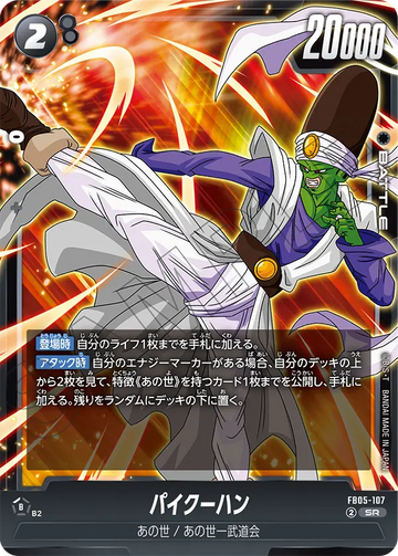 FB05-107 Paikuhan SR