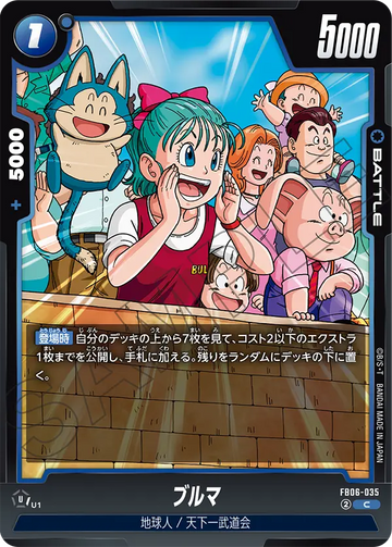 FB06-035 ブルマ C