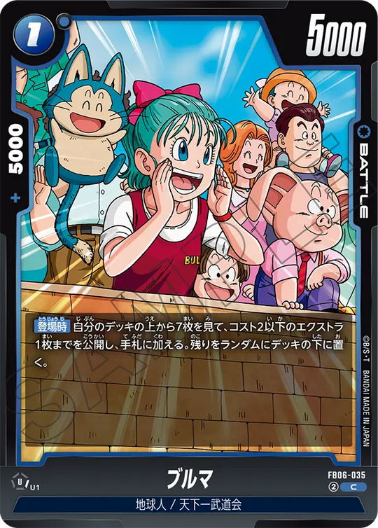 FB06-035 Bulma C