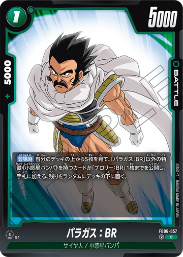 FB06-057 パラガス：BR C