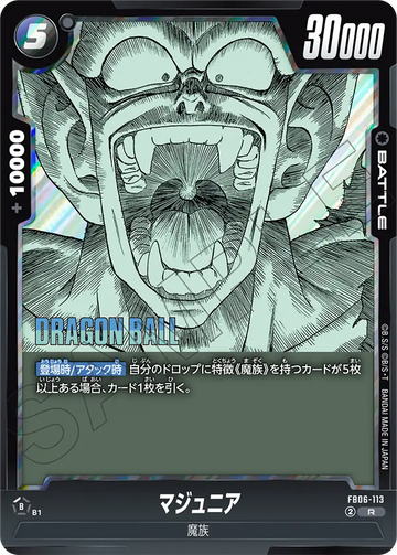 FB06-113 MAJUNIOR R