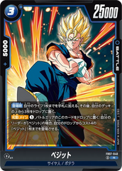 FB07-040 ベジット R