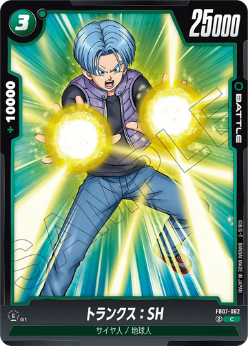 FB07-062 Trunks: SH C