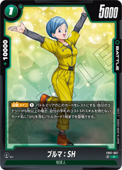 FB07-067 ブルマ：SH C