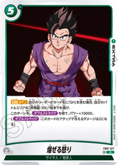 FB07-071 爆ぜる怒り R